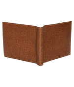 Load image into Gallery viewer, RL Leon Money Clip Wallet - WALLETSNBAGS