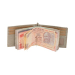 Load image into Gallery viewer, RL Iris Money Clip Wallet - WALLETSNBAGS